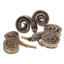 daiktų Palm Male White Washed 25 vnt