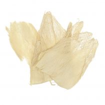 Palmių pluoštas balintas 250g