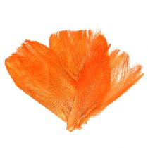 Palmių pluošto pastelinė šviesiai oranžinė 400gr