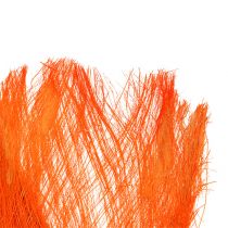 Palmių pluošto pastelinė šviesiai oranžinė 400gr