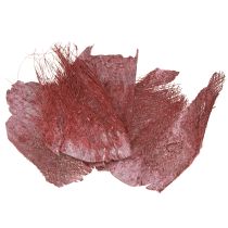 daiktų Palmių pluoštas rankdarbiams, Bordo baltai plautas, 20-40 cm, 250 g