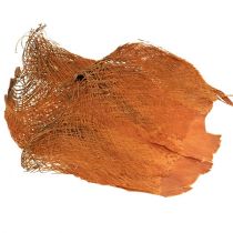 Natūralus palmių pluoštas 1kg