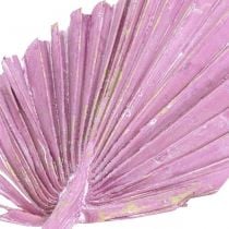 Palmspear Mix Rosa Berry, plaunama balta Atminimo floristika 65vnt