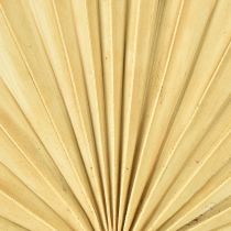 daiktų Palmspear Sun Natural Palm Leaf Dried Natural Decoration 30 vnt