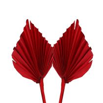 daiktų Palmspear mini red 100 vnt