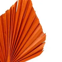 daiktų Palmspear Orange 65 vnt.