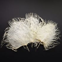 daiktų Palmių lapai, džiovinti, balinti dekoratyviniai lapai, 45 cm, 5 vnt.