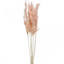 Džiovintos pampos žolės rausvos džiovintos gėlės natūrali dekoracija 65-75cm 6vnt