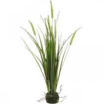 Dirbtinė nendrių žolė su šakniavaisiniu dirbtiniu augalu H63cm