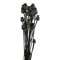 Džiovintos gėlės aguonų kapsulės džiovintos Black Papaver 80g