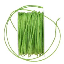 daiktų Popierinė viela suvyniota Ø2mm 100m obuolių žalia