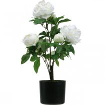 daiktų Dirbtinė Paeonia, bijūnas vazonėlyje, dekoratyvinis augalas balti žiedai H57cm