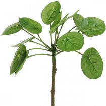 Peperomia Dirbtinis žalias augalas su lapais 30cm