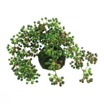 Karoliukų virvelė dirbtinis samanų rutulys dirbtiniai augalai žalias 38cm