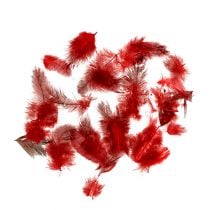 Faraona perlinių vištų plunksnos 30g raudonos