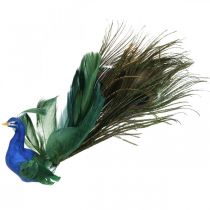 Rojaus paukštis, povas prie apkabos, plunksninis paukštis, paukščio puošmena mėlyna, žalia, spalvinga H8,5 L29cm