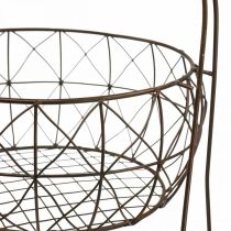 daiktų Plant etagere vintažinio metalinio krepšelio stovas 2 pakopų 62cm