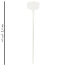 daiktų Augalo etiketė 36cm 10vnt.