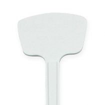 daiktų Augalo etiketė 32cm 10vnt.