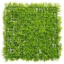 daiktų Dirbtinis buksmedžio augalų kilimėlis 55x55 cm dekoratyviniam sienų dizainui