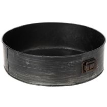 daiktų Vazonas, dekoratyvinė kepimo forma, nuimama sodinimo forma, metalinė dekoracija Ø24cm, aukštis 7,5cm