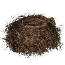 daiktų Ežio formos vazonas iš vijoklių 22 cm x 25 cm