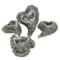 daiktų Augalas širdies vynmedis 15cm x 23cm x 5cm baltas 4 vnt