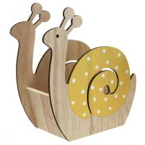 Augalų dėžė sraigės mediena cachepot medinė sraigė 19cm 2vnt