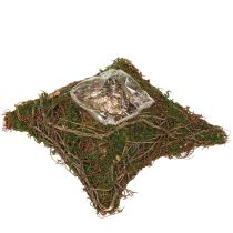 daiktų Augalų pagalvėlė, vynmedžiai, samanų vazonas, natūralus, 20 × 20 × 6,5 cm