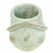 daiktų Sodinamosios augalo galvutė sniego senelis Ø11cm H11,5cm 2vnt