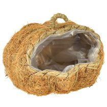 daiktų Augalų krepšelis moliūgas rudens dekoracija oranžinis Ø22cm A17cm
