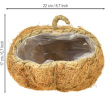 daiktų Augalų krepšelis moliūgas rudens dekoracija oranžinis Ø22cm A17cm