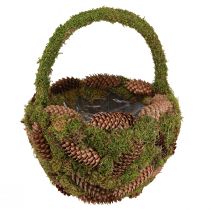 daiktų Augalų krepšelis samanų eglių spurgų krepšelis su rankena Ø32cm H42cm