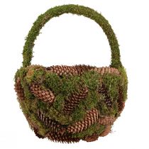 daiktų Kaimiškas sodinimo krepšelis su samanomis ir pušies kankorėžiais - dekoratyvinis krepšelis su rankena Ø32cm A42cm - universalus sodo ir namų dekoravimas