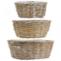 daiktų 3 pintų krepšelių, vazonų, dekoratyvinių krepšelių rinkinys, baltai dažytas vintažinio stiliaus, Ø21,5/26/31 cm namams ir sodui