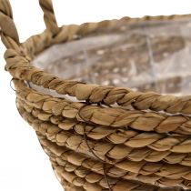 Augalų krepšelis apvalus jūržolių krepšelis su rankenomis dekoratyvinis krepšelis Ø25cm H9cm