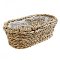 Augalų krepšelis jūržolių krepšelis ovalus dekoratyvinis krepšelis 28×15×10cm