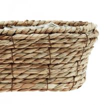 Augalų krepšelis jūržolių krepšelis ovalus dekoratyvinis krepšelis 28×15×10cm