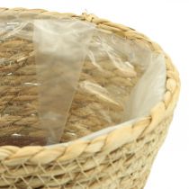 Augalų krepšelis sodintuvas jūržolių krepšelis deco nature Ø19cm H16cm