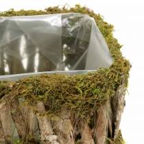 daiktų Augalų krepšelis kvadratinės samanos, žievė 34 × 15,5 / 24,5 × 11 cm, rinkinyje 2 vnt.