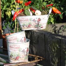 daiktų Vazonas vazonui apvalus metalinis Fresh Garden H21cm