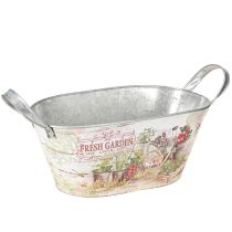daiktų Metalinė sėjamoji ovali Fresh Garden 34,5x14x15,5 cm