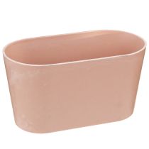 daiktų Augalų dubuo ovalus dekoratyvinis dubuo plastikinis rožinis rudas 20×10×11cm 3vnt