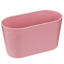 daiktų Augalų dubuo ovalus rožinis dekoratyvinis dubuo plastikinis 20×10×11cm 3vnt