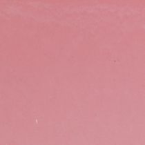 daiktų Augalų dubuo ovalus rožinis dekoratyvinis dubuo plastikinis 20×10×11cm 3vnt