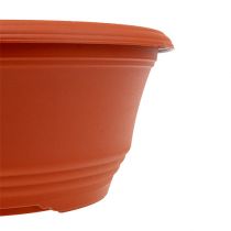 daiktų Plastikinis sodinimo dubuo Ø20cm terakotos 1 vnt