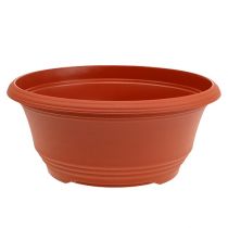 daiktų Plastikinis sodinimo dubuo Ø27cm terakotos 1 vnt