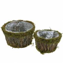 Augalų dubuo samanos/žievė apvali Ø15/20cm rinkinys po 2 vnt