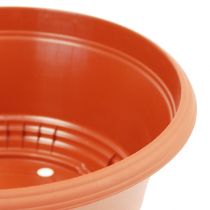daiktų Augalų dubuo plastikinis Ø23cm H10cm 1 vnt