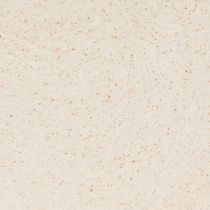 daiktų Augalų laivo plastikinis augalų dubuo smėlio spalvos 28×9×9cm 3vnt